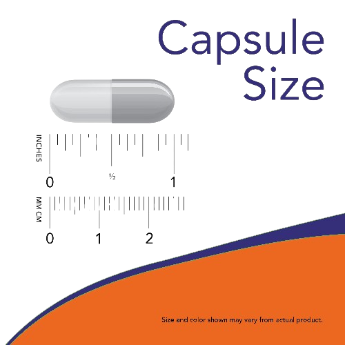 DMAE - 250 MG 100 CAP; Compléments alimentaires; Biovitaminaat.