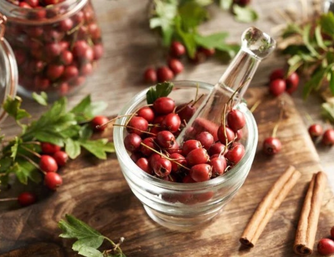 Plante Médicinale - Circulation Sanguine; Compléments alimentaires; Biovitaminaat.